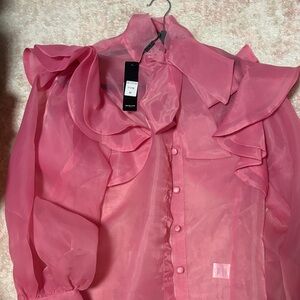 Beulah Pink Sheer Ruffled Blouse